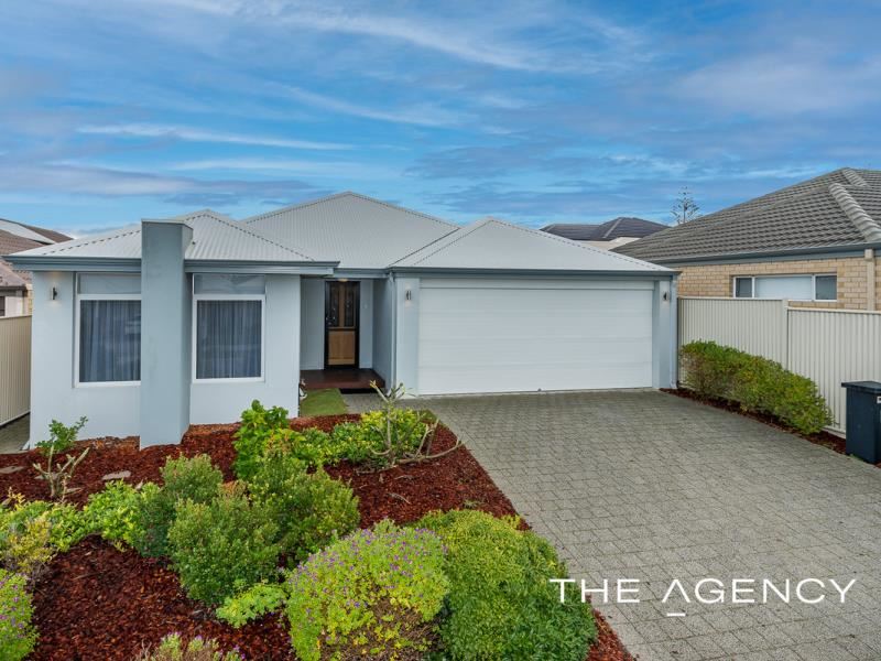 31 Loggerhead Road, Alkimos WA 6038