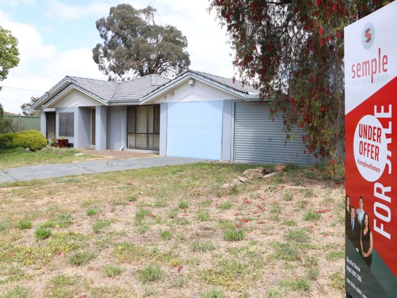 16 Grassbird Loop, Yangebup