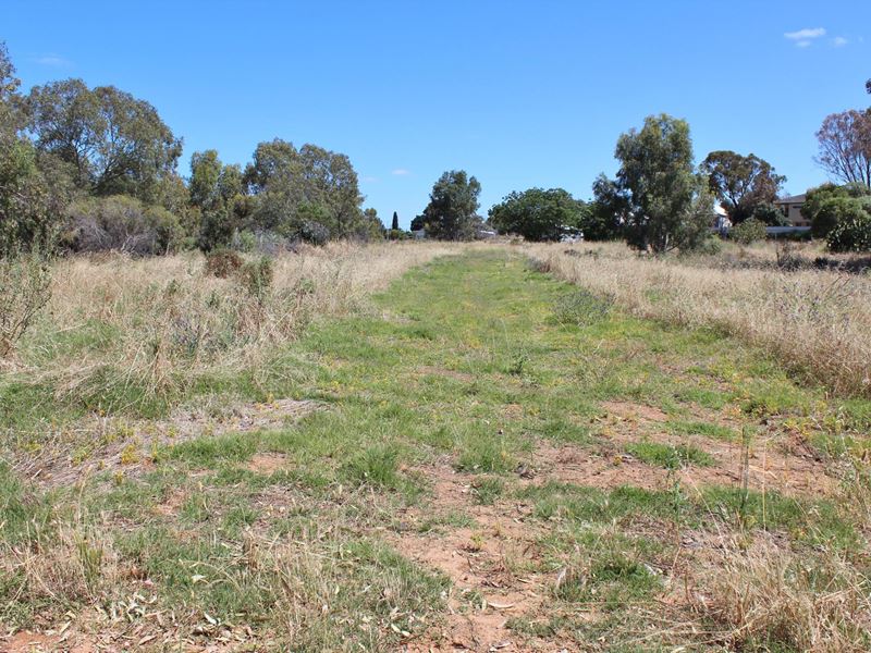21 Mitchell Avenue, Northam