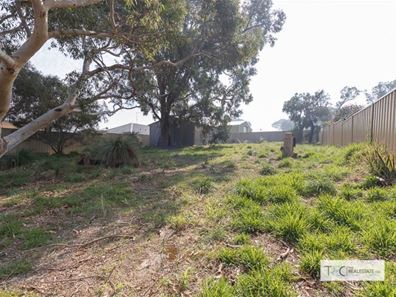 24 Crusader Street, Falcon WA 6210
