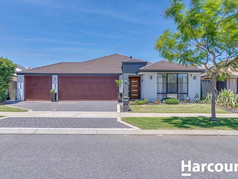 48 Horticulture Gardens, Banksia Grove WA 6031