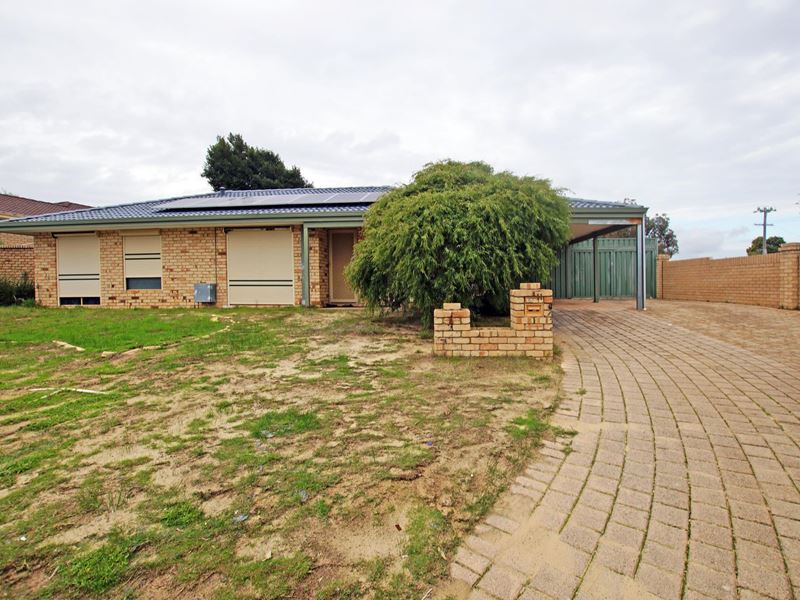 11 Farnell Place, Alexander Heights