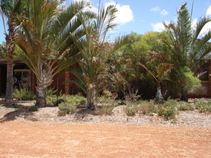 17 Jenner Court, Geraldton WA 6530