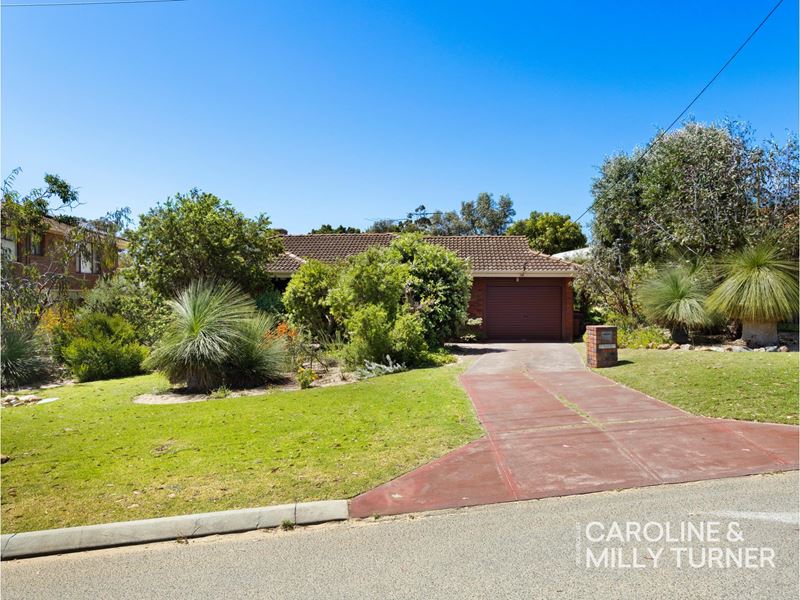 3 Bosworth Street, Hamersley