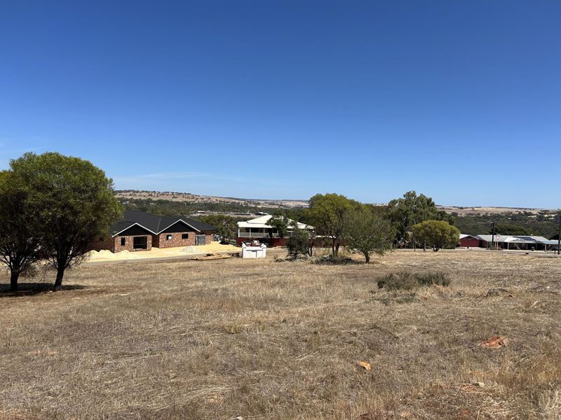 7 Dr Dunlop Grove, Northam WA 6401