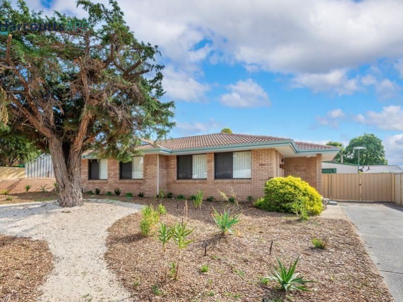24 Rendell Elbow, Withers WA 6230