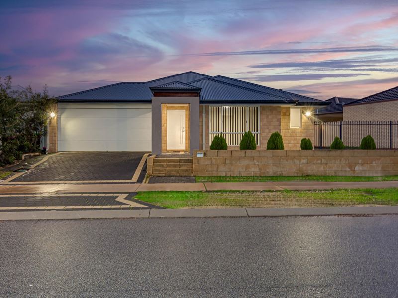 9 Newbliss Gardens, Butler WA 6036
