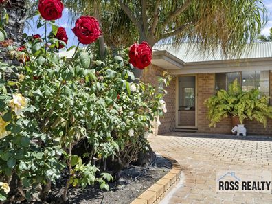 7 Niagara Place, Morley WA 6062