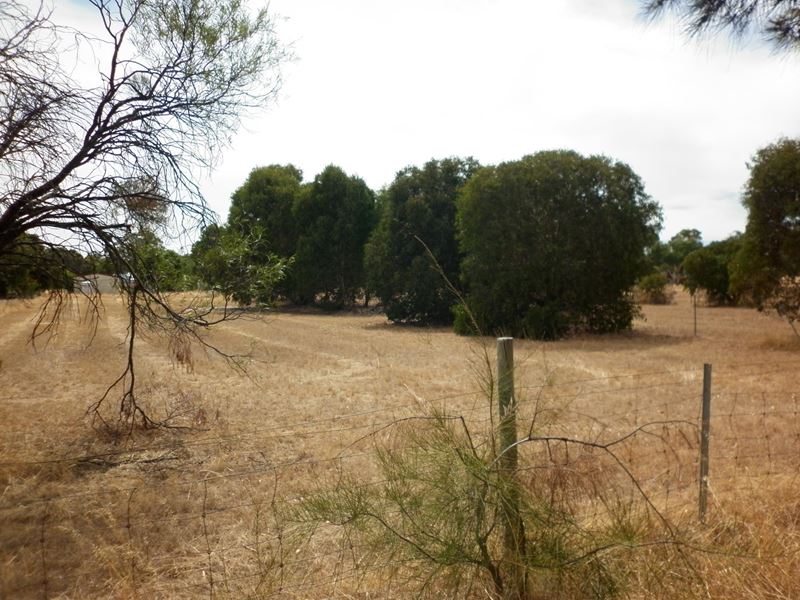 6 Steere  Road, Woodanilling WA 6316