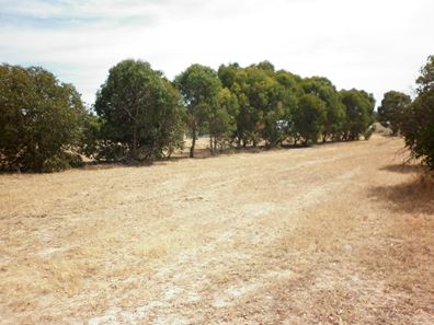 6 Steere  Road, Woodanilling WA 6316