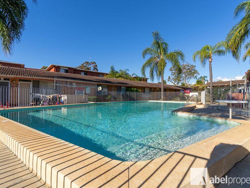 19/177 Wanneroo Road, Tuart Hill
