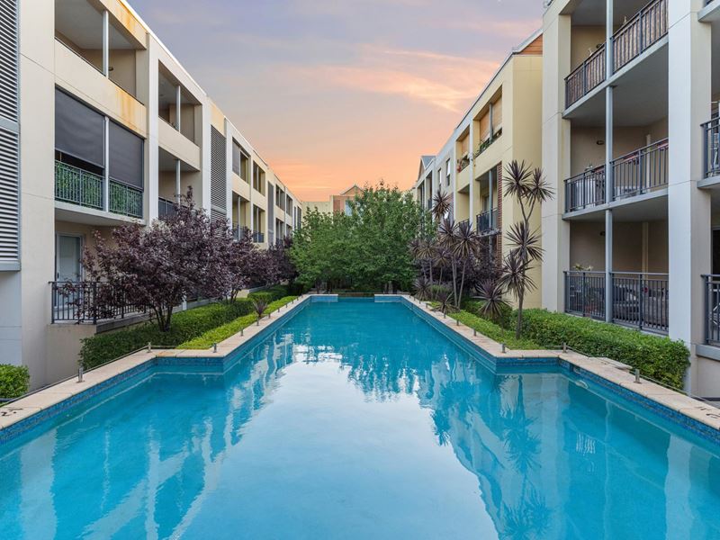 41/134 Aberdeen Street, Northbridge WA 6003
