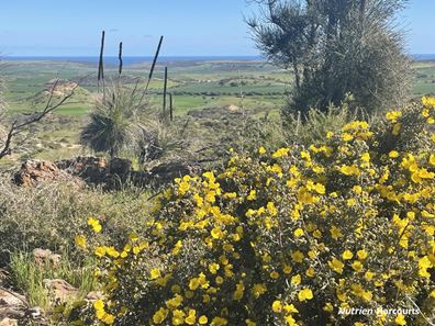 Lot 112 Jackson Road, Bowes WA 6535
