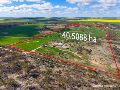6307 Nungarin-Wyalkatchem Road, Korrelocking WA 6485
