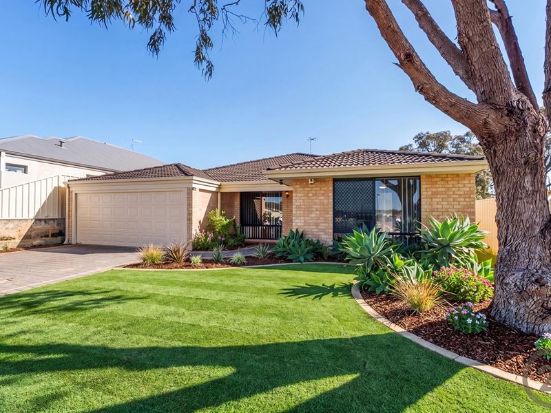 31 Kerkeri Heights, Lakelands WA 6180
