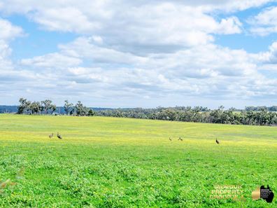 320 Berry Road, Gidgegannup WA 6083