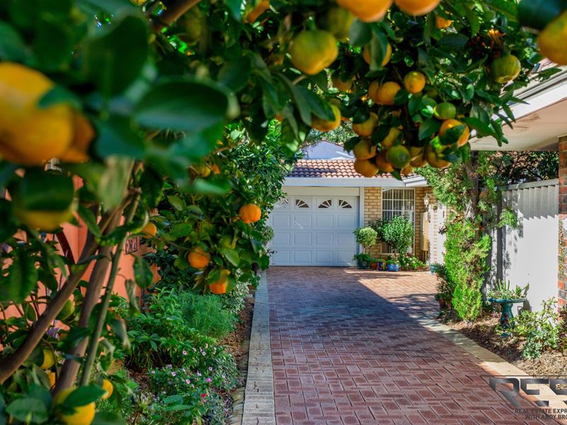 32B Norma Road, Alfred Cove