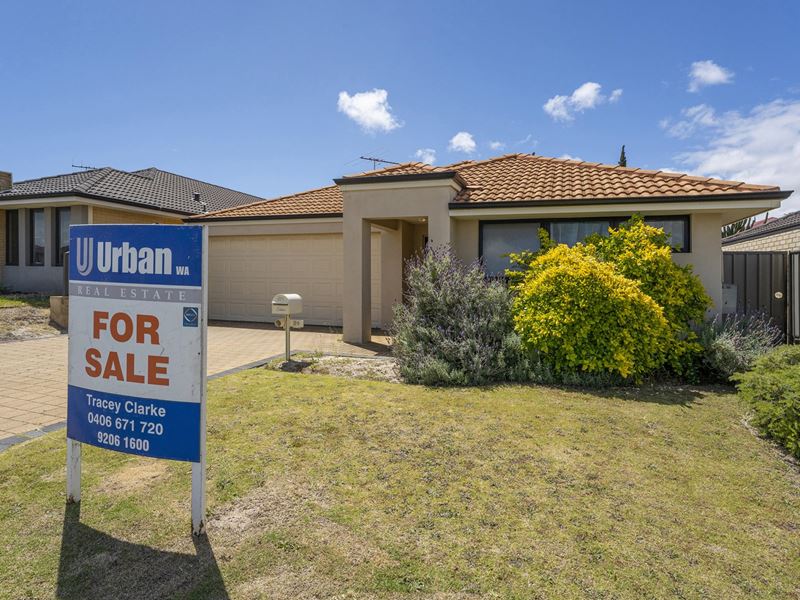 29 Grafton Rise, Baldivis WA 6171