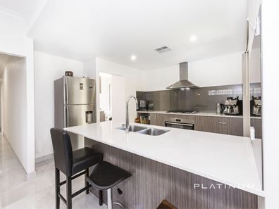 46 Potoroo Street, Banksia Grove WA 6031