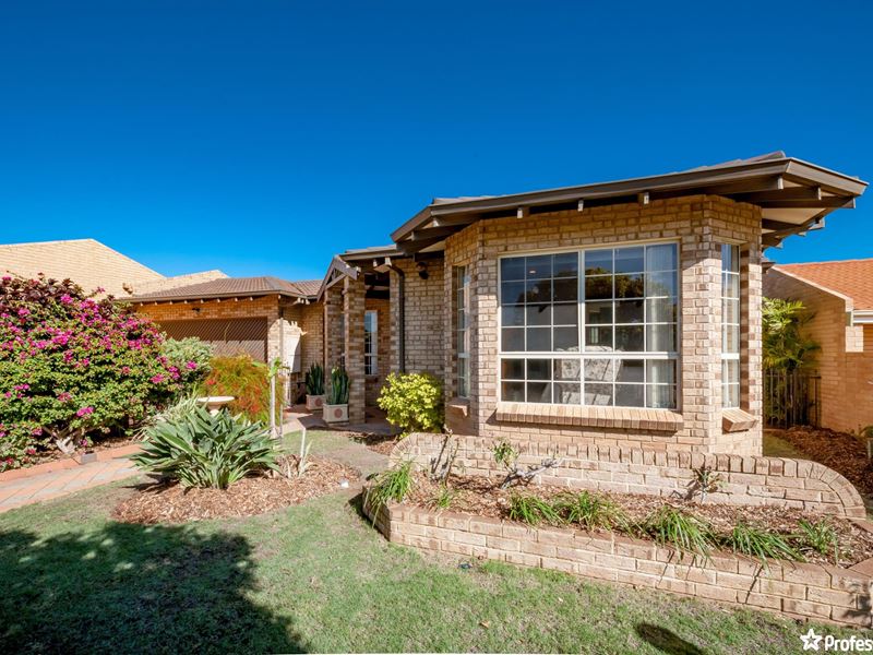 11 Harris Court, Mount Tarcoola