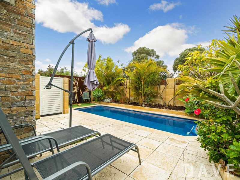 83 Spring Hill, Tapping