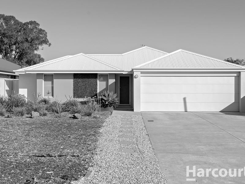 23D Carthage Road, Falcon