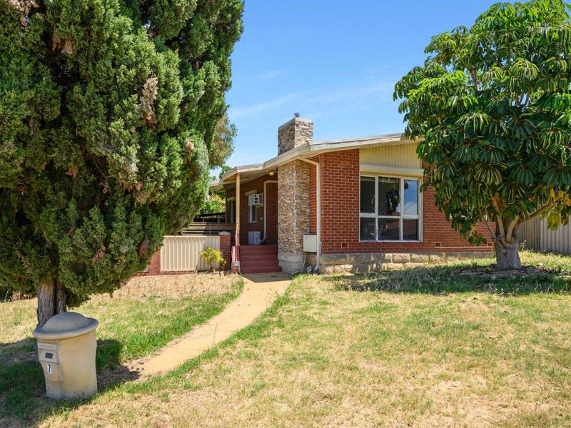 7 Carmody St, Hamilton Hill