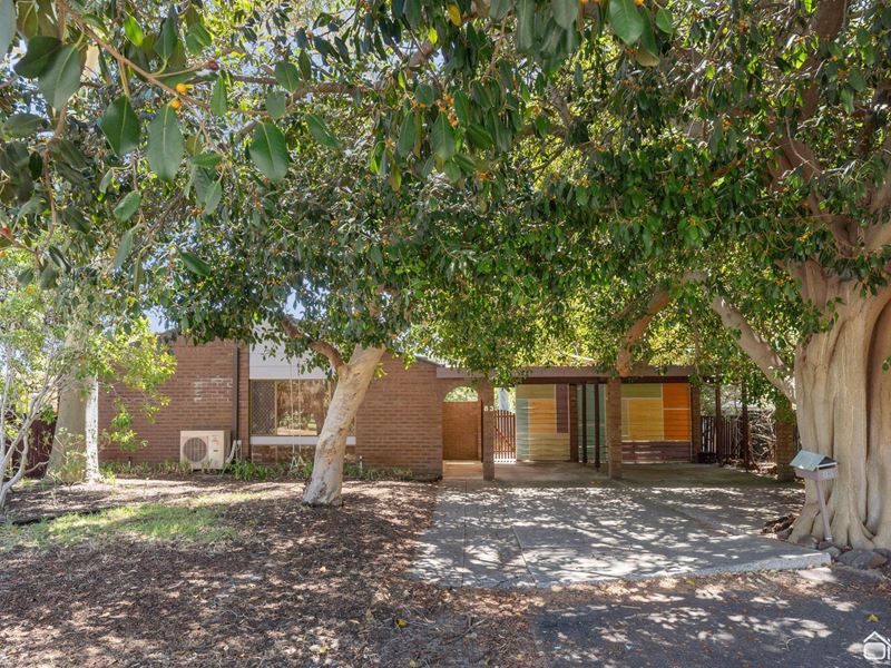 83 Grovelands Drive, Camillo