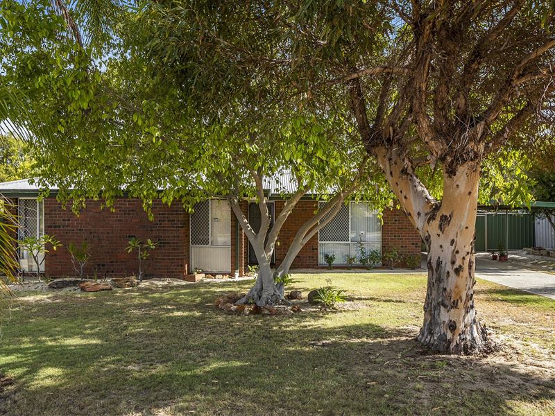 8 Shearwater Terrace, Ballajura