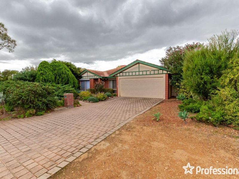 55 Lyrebird Loop, Seville Grove WA 6112