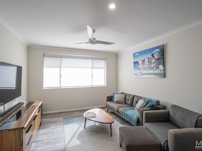11 Plane Tree Grove, O'Connor WA 6163