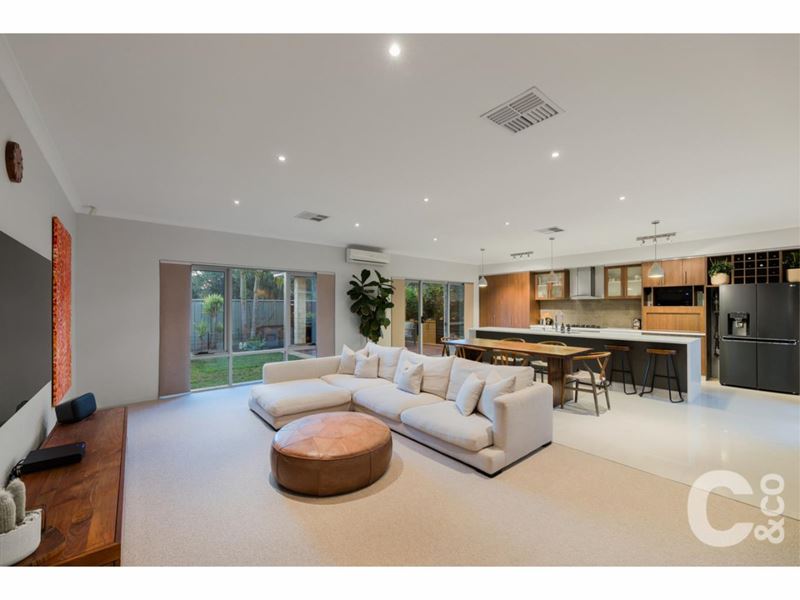 31 Glastonbury Street, Leda