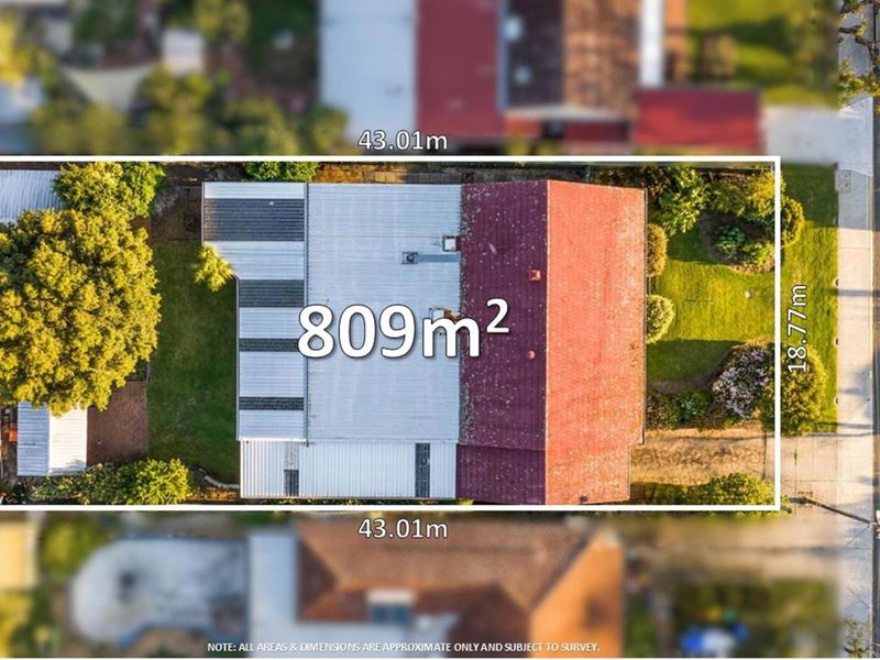 18 Ranger Road, Yokine WA 6060