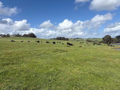 Lot 72 Beelerup Road, Beelerup WA 6239