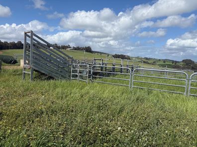 Lot 72 Beelerup Road, Beelerup WA 6239