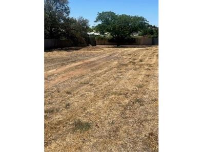 12 Gamenya Avenue, Merredin WA 6415