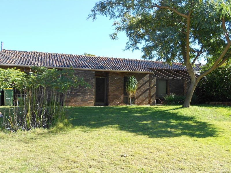 35 Camm Avenue, Bull Creek WA 6149