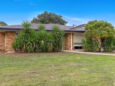 12 Lyrebird Loop, Seville Grove WA 6112