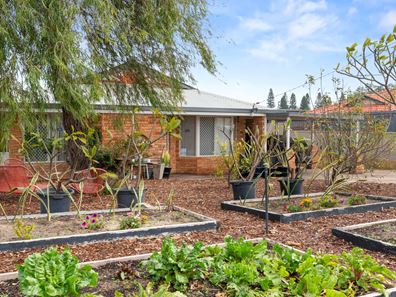 37 Penson Street, Singleton WA 6175