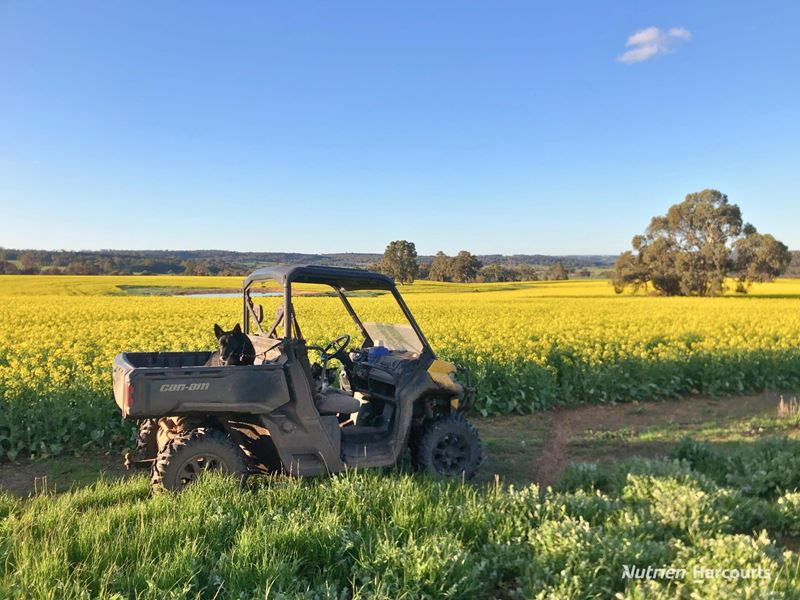 8221 Brookton Highway, Jelcobine WA 6306