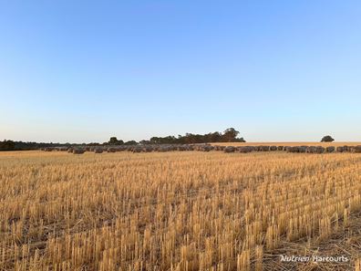 8221 Brookton Highway, Jelcobine WA 6306