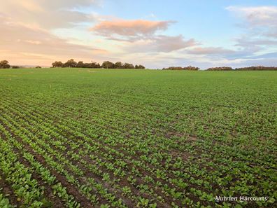 8221 Brookton Highway, Jelcobine WA 6306