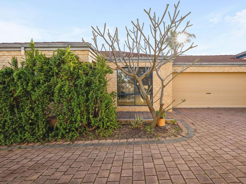 27A Thrall Street, Innaloo WA 6018