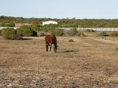 6 Lot 12 Ranch Court, Kalbarri WA 6536