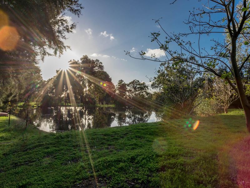 23 Hetherington Close, Jarrahdale