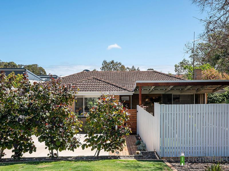 3 Ashbourne Way, Hamilton Hill WA 6163