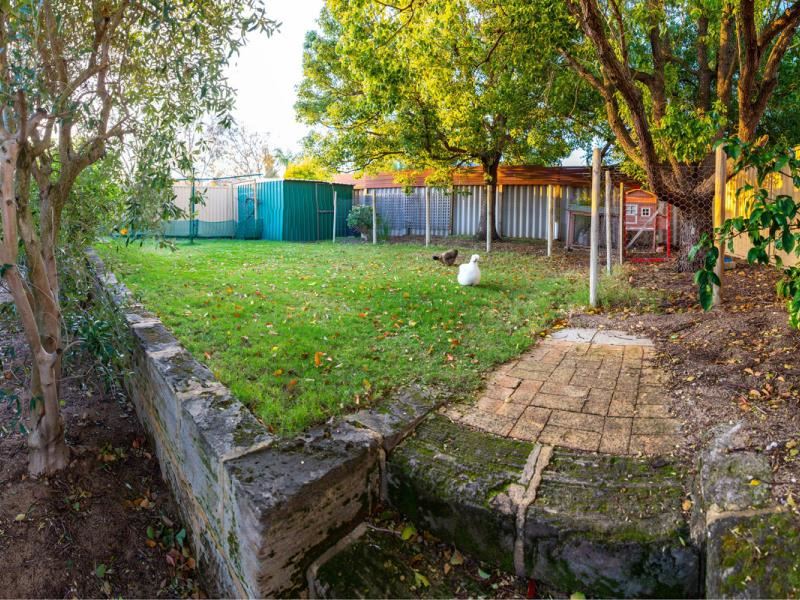 29 Argyle Place, Yangebup
