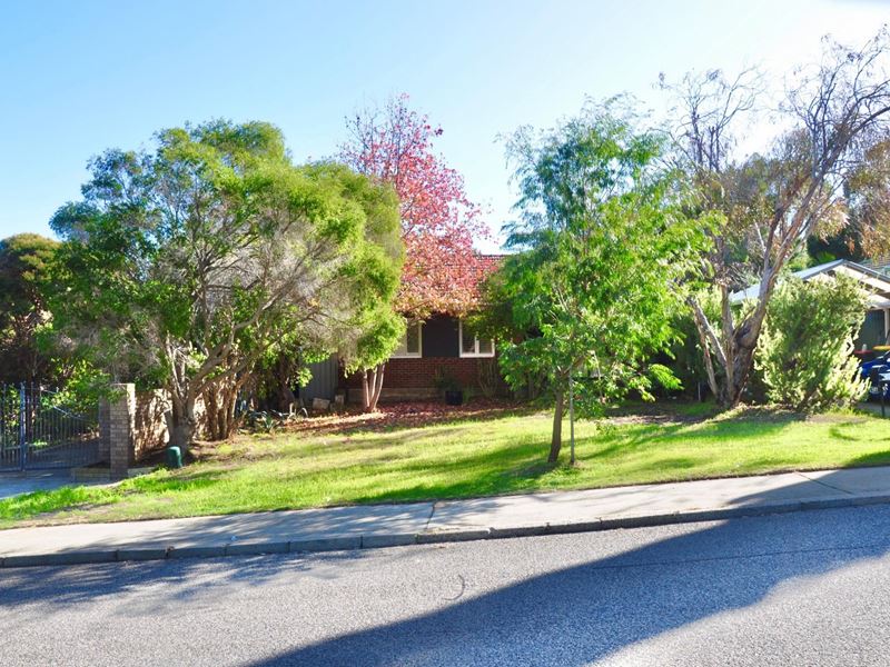 24 Halstead Street, Hamilton Hill