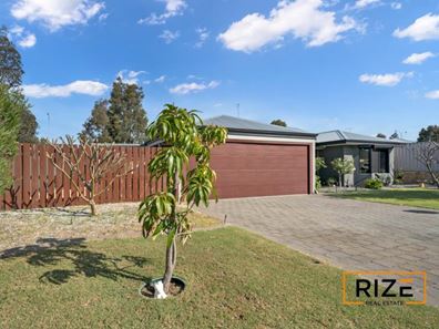 37 Ornata Bend, Banksia Grove WA 6031