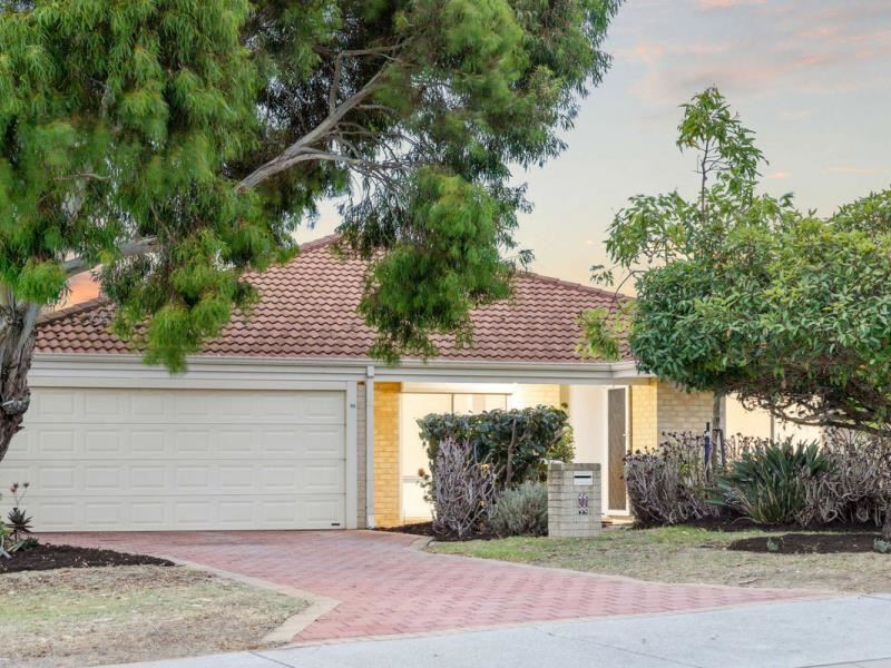 99 Clarkson Avenue, Tapping